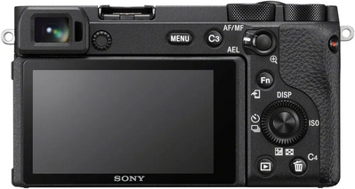 Sony 6600 Image