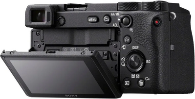 Sony 6600 Image