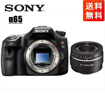 Sony SLR Digital Image