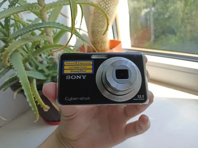 Sony DSC-W190 Image