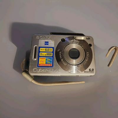 Sony DSC-W50 Image