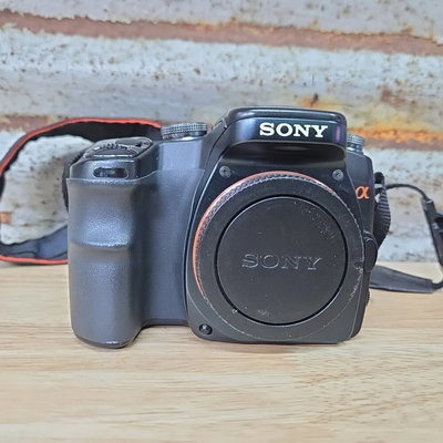 Sony Alpha 100 Image