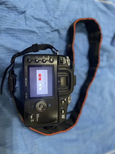 Sony Alpha 100 Image