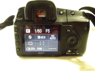 Sony DSLR-A200 Image