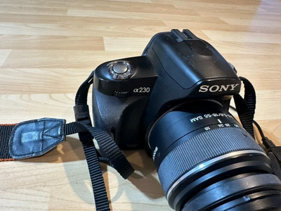 Sony Alpha 290 Image