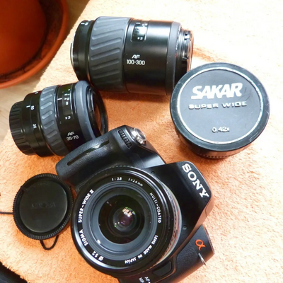 Sony Alpha 290 Image