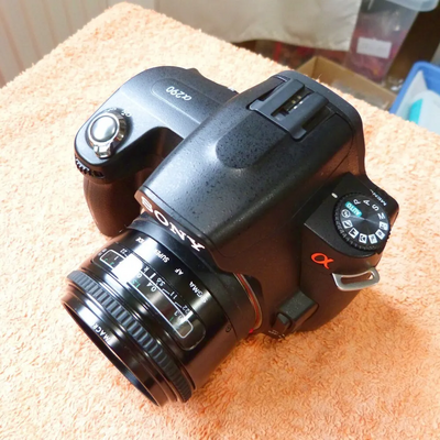Sony Alpha 290 Image