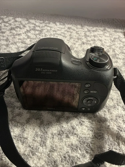 Sony DSC-H200 Image