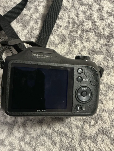 Sony DSC-H200 Image