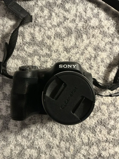 Sony DSC-H200 Image