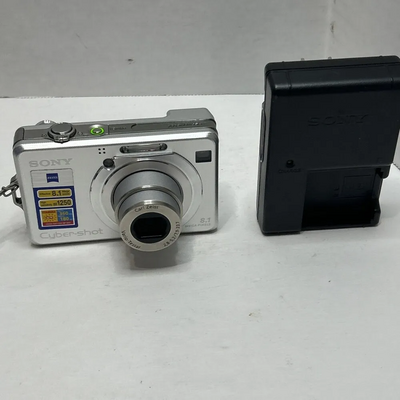 Sony DSC-W100 Image