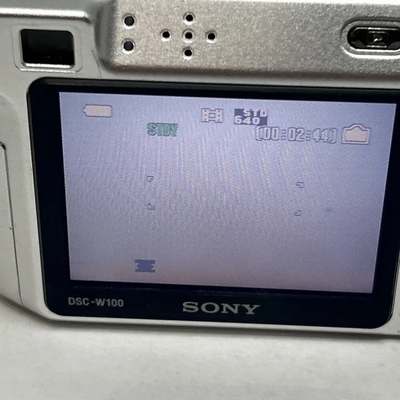 Sony DSC-W100 Image