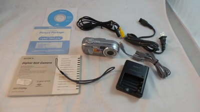 Sony P93A Image