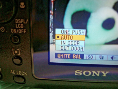 Sony Cyber-shot S85 Image