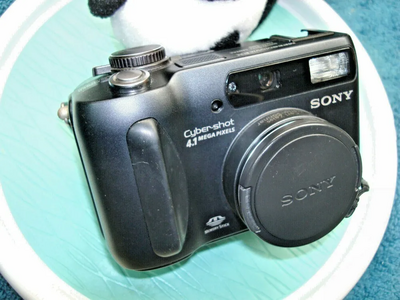 Sony Cyber-shot S85 Image