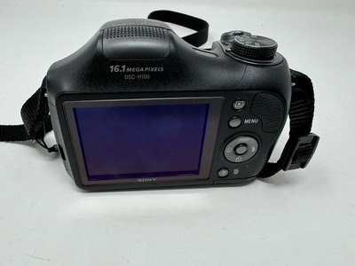 Sony H100 Image