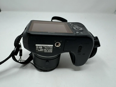 Sony H100 Image