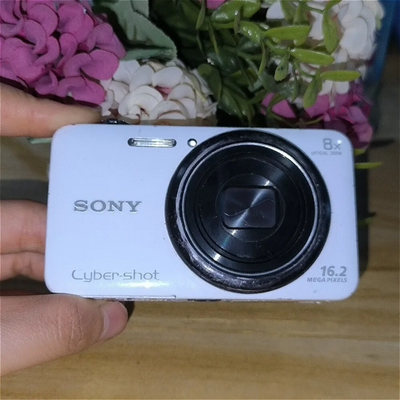 Sony Cyber-shot DSC-WX80 Image