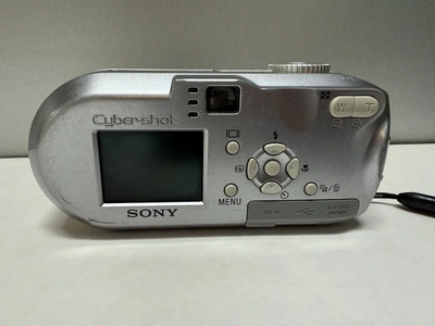 Sony Cyber-shot DSC-P93 Image