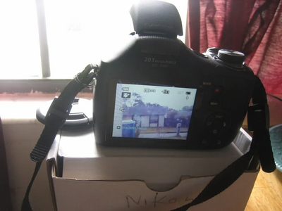 Sony H300 Image