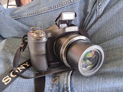 Sony H300 Image