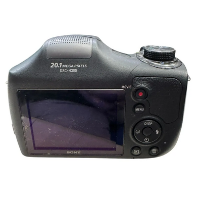 Sony H300 Image