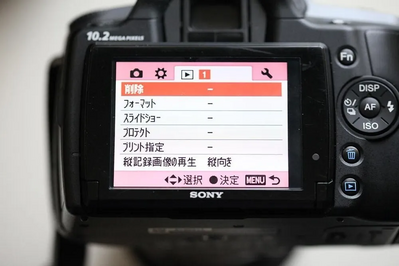 Sony 330 Image