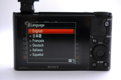 Sony DSC-RX100 Image
