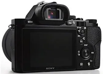 Sony A7 Image