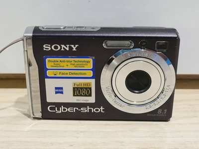 Sony DSC-W90 Image