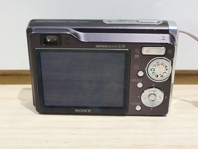 Sony DSC-W90 Image