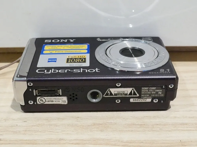 Sony DSC-W90 Image
