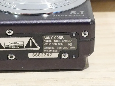 Sony DSC-W90 Image