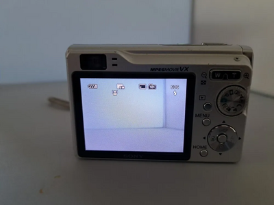 Sony DSC-W90 Image
