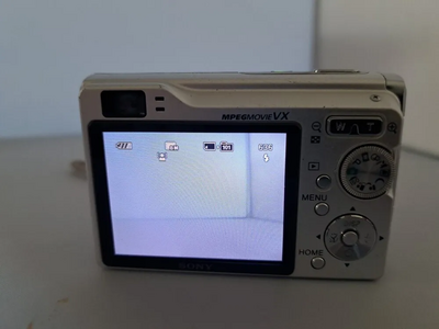 Sony DSC-W90 Image