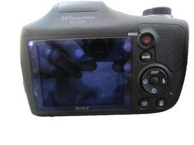 Sony Dsc-h300 Image