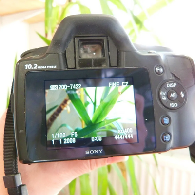 Sony Alpha Image