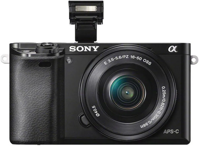 Sony ALPHA A6000 Image