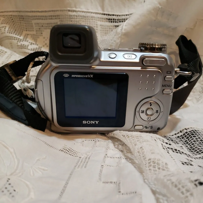 Sony DSC-H2 Image