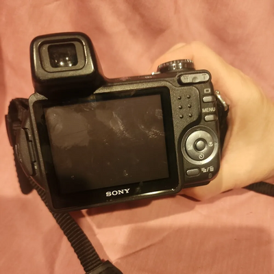 Sony DSC-H2 Image