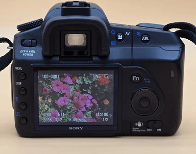 Sony A200 Image