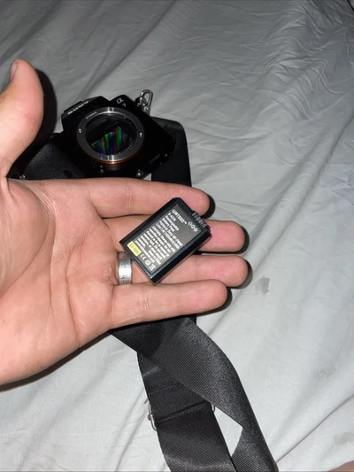 Sony A7 Image