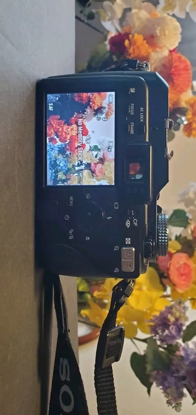 Sony DSCV3 Image