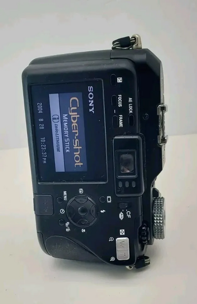 Sony DSCV3 Image