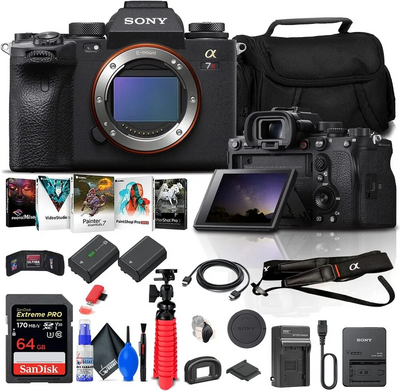 Sony Alpha 7R III Image