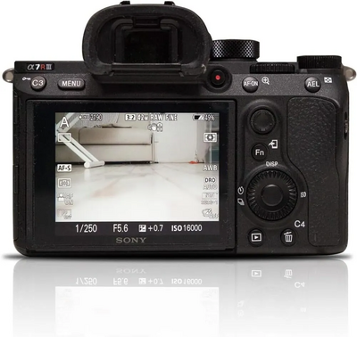 Sony Alpha 7R III Image