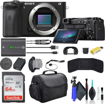 Sony 6600 Image