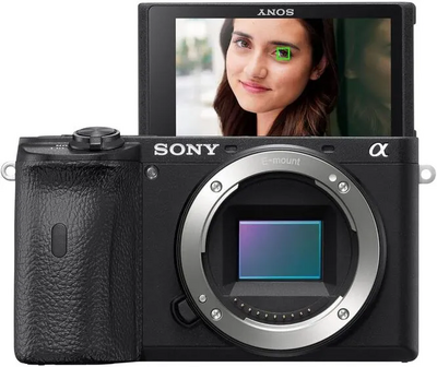 Sony 6600 Image
