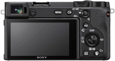 Sony 6600 Image