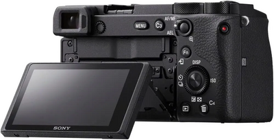 Sony 6600 Image